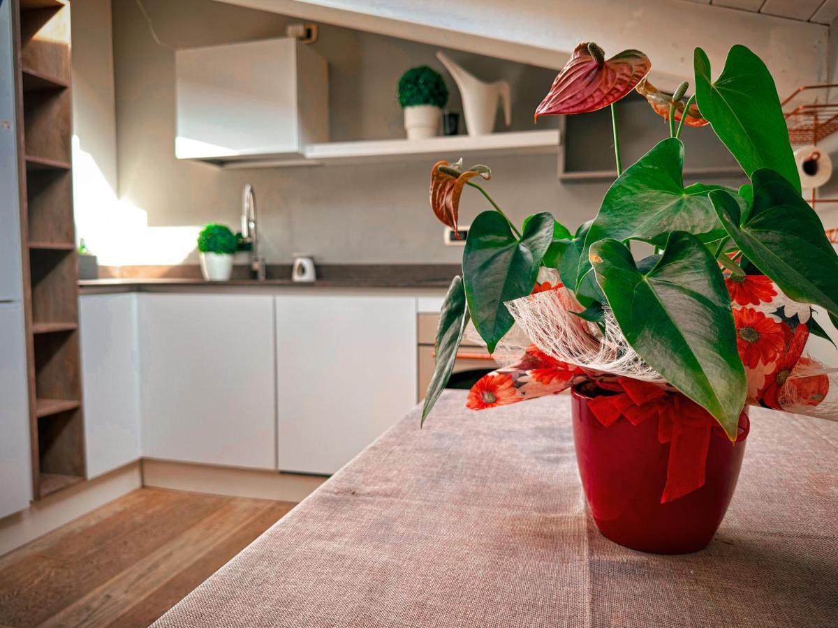 Apartmán Accogliente Mansarda In Centro Storico Ravenna Exteriér fotografie