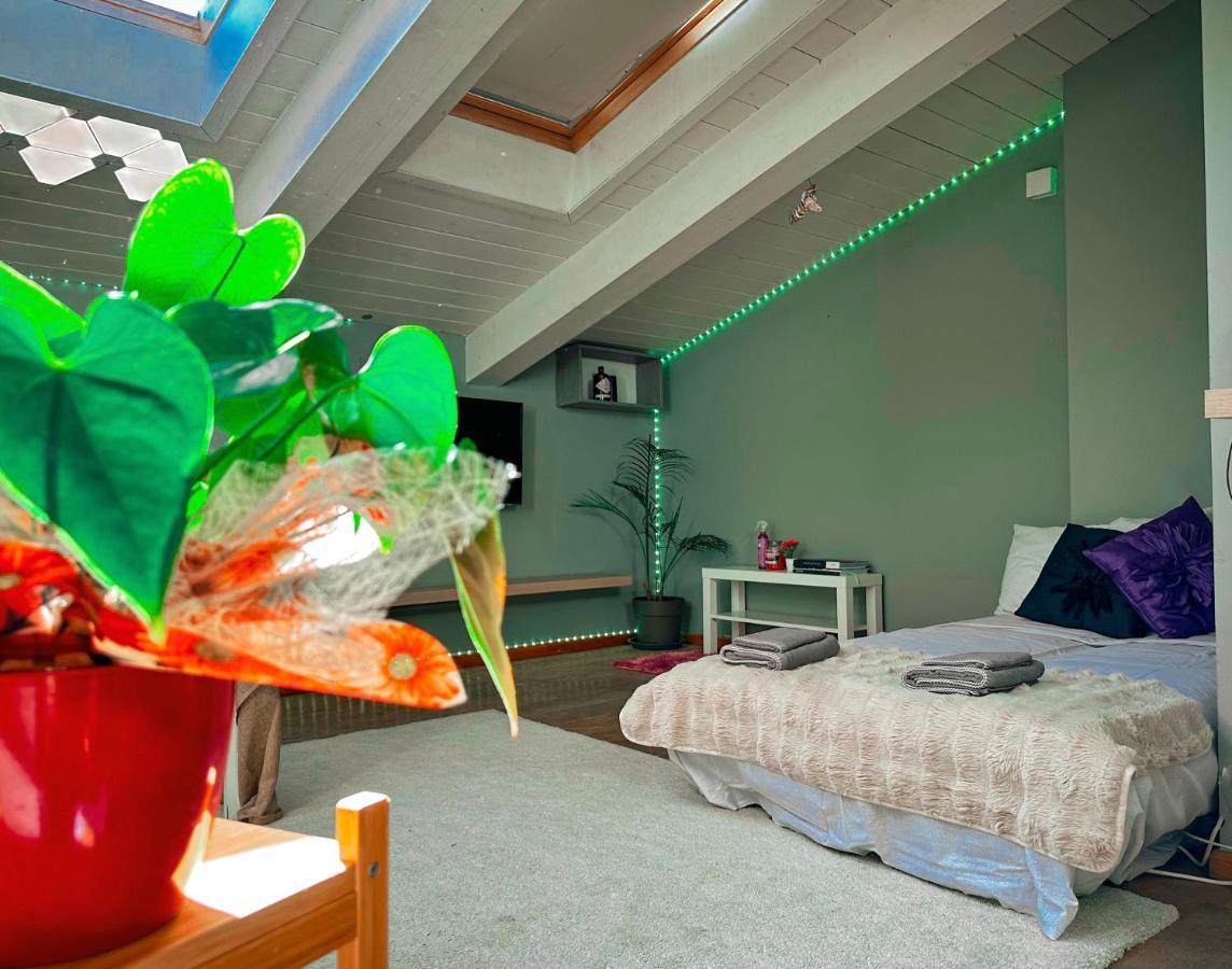 Apartmán Accogliente Mansarda In Centro Storico Ravenna Exteriér fotografie